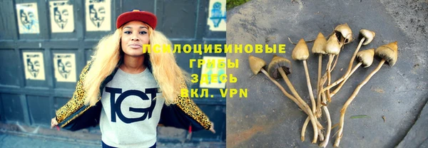 2c-b Аркадак